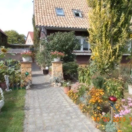 Vermiete Sehr Schoenes Apartment In Dankerode Im Harz Exterior foto