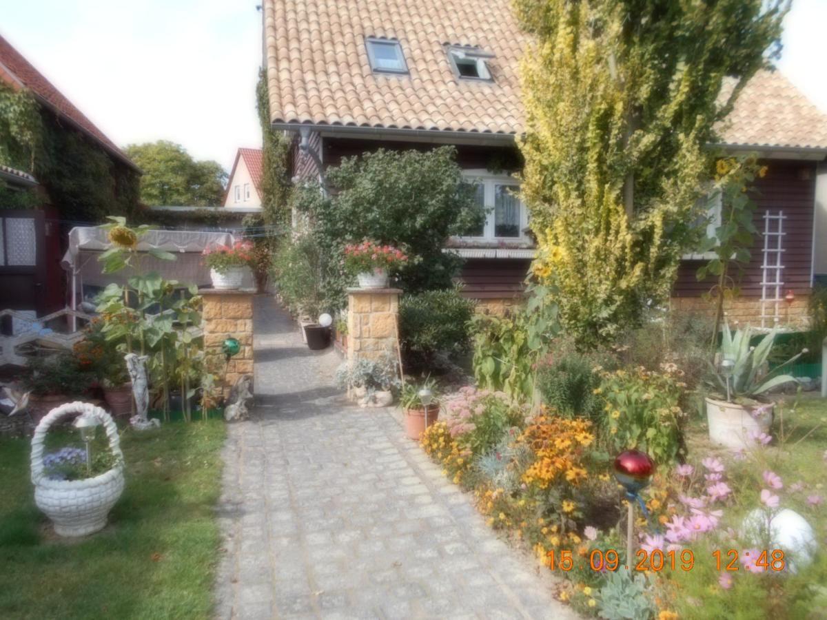 Vermiete Sehr Schoenes Apartment In Dankerode Im Harz Exterior foto